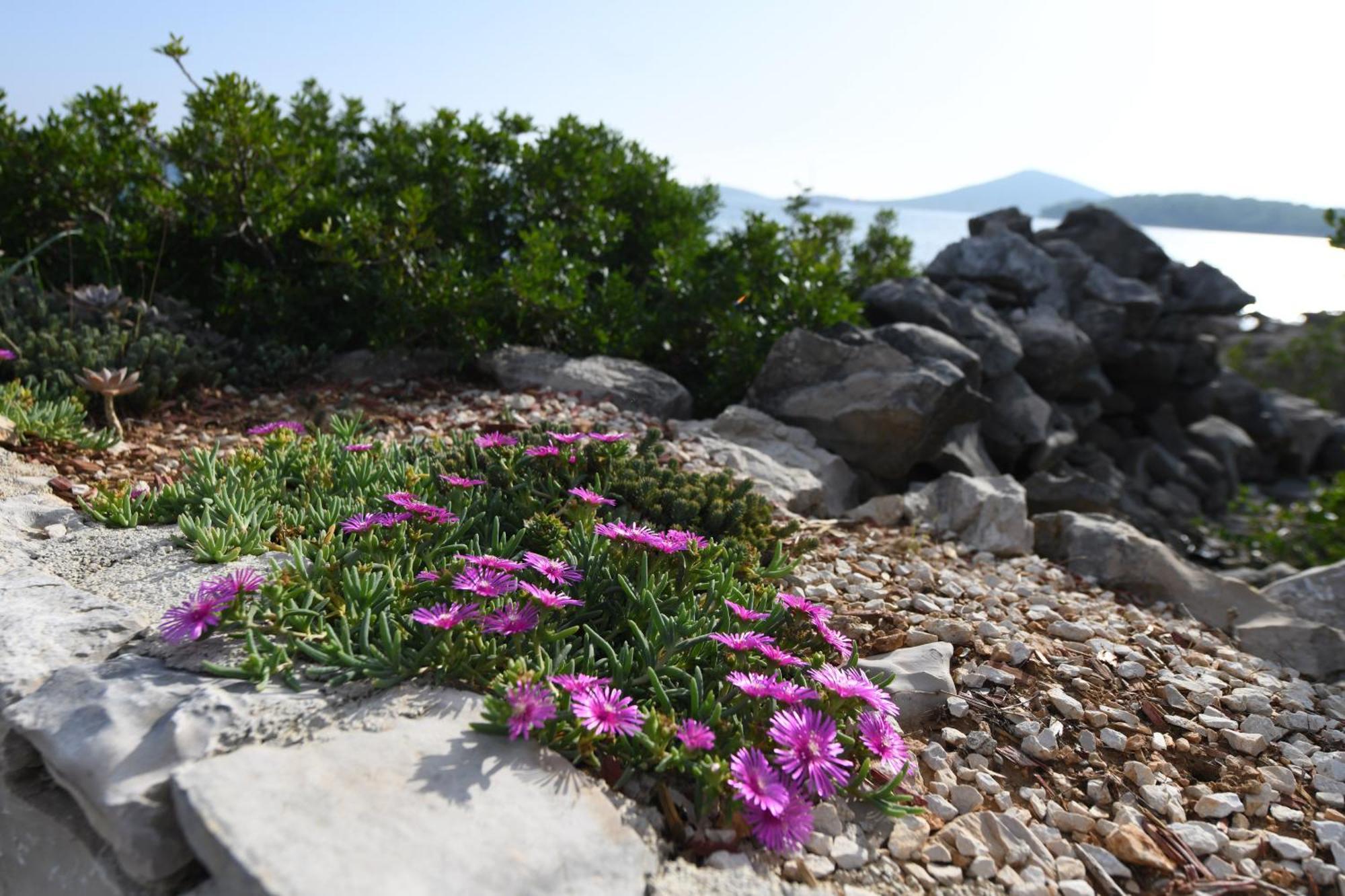 Beach House Marina Grande Бетина Екстериор снимка